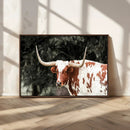 Texas Longhorn Wall Art Canvas Print – Framed Spotted Bull