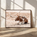 Texas Longhorn Wall Art Canvas Print – Framed Resting Bull by MyGreatCanvas | Canvas Wall Art Prints | Photo Prints & Wall Decor
