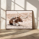 Texas Longhorn Wall Art Canvas Print – Framed Resting Bull by MyGreatCanvas | Canvas Wall Art Prints | Photo Prints & Wall Decor