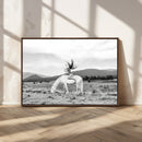 White Horse Wall Art Canvas Print – Framed Woman Rider