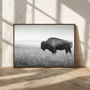 Bison Wall Art Canvas Print – Framed Rustic Wildlife Scene by MyGreatCanvas | Canvas Wall Art Prints | Photo Prints & Wall Decor