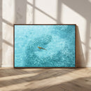 Fish Swarm Wall Art Canvas Print – Framed Aerial Shark and by MyGreatCanvas | Canvas Wall Art Prints | Photo Prints & Wall Decor