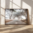 Cypress Tunnel Wall Art – Framed Misty Road Canvas Artwork, by MyGreatCanvas | Canvas Wall Art Prints | Photo Prints & Wall Decor
