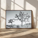 Joshua Tree Wall Art Canvas Print – Framed Black White