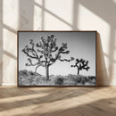 Joshua Tree Wall Art Canvas Print – Framed Monochrome Desert