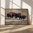 Bison Wall Art Canvas Print – Framed Western Wildlife Modern