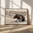 Texas Longhorn Wall Art Canvas Print – Framed Country Living