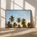 Palms Wall Art Canvas Print – Framed Tropical Coastal Nature