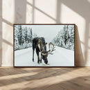 Moose Snow Wall Art Canvas Print – Framed Winter Wildlife