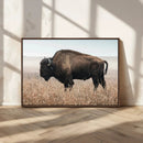 American Bison Wall Art Canvas Print – Majestic Buffalo