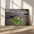 Chicago Bears Soldiers Field Wall Art Canvas Print – Framed