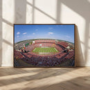 William Brice Stadium Wall Art Canvas Print – Stadium Crowd by MyGreatCanvas | Canvas Wall Art Prints | Photo Prints & Wall Decor