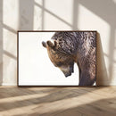Grizzly Bear Canvas Wall Art Print – Framed Wildlife Nature by MyGreatCanvas | Canvas Wall Art Prints | Photo Prints & Wall Decor