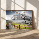 Sakura Cherry Blossom Pathway Canvas Wall Art – Tranquil