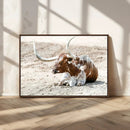 Majestic Longhorn Wall Art Canvas Print – Resting on Sunlit by MyGreatCanvas | Canvas Wall Art Prints | Photo Prints & Wall Decor