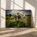 Grazing Cattle Herd Wall Art, Green Pasture Livestock Canvas by MyGreatCanvas | Canvas Wall Art Prints | Photo Prints & Wall Decor