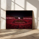 Dooley Stadium Wall Art, Sports Arena Canvas Print, Dooley by MyGreatCanvas | Canvas Wall Art Prints | Photo Prints & Wall Decor