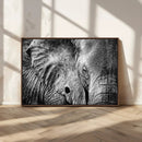 Wild Old Elephant Wall Art Canvas Print