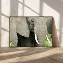 Wild Elephant Wall Art Canvas Print by MyGreatCanvas | Canvas Wall Art Prints | Photo Prints & Wall Decor