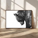 Black and White Grizzly 399 Bear Canvas Print Wall Art | by MyGreatCanvas | Canvas Wall Art Prints | Photo Prints & Wall Decor