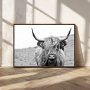 Newfoundland Cow Art Wall Art, Black White Cow Art Wall Art