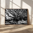 Mighty Angel Oak Wall Art | Angel Oak Tree Art Print by MyGreatCanvas | Canvas Wall Art Prints | Photo Prints & Wall Decor