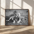 King Forest Lion Wall Art Canvas Print – Framed Majestic by MyGreatCanvas | Canvas Wall Art Prints | Photo Prints & Wall Decor