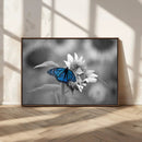 Blue Butterfly Black and White Canvas Wall Art by MyGreatCanvas | Canvas Wall Art Prints | Photo Prints & Wall Decor