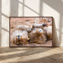 Lion Pair Wall Art Canvas Print – Framed Wildlife Scene with