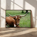 Longhorn Cow Animal Wall Art Canvas Print by MyGreatCanvas | Canvas Wall Art Prints | Photo Prints & Wall Decor