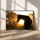 Horse at Sunset Wall Art Animal Canvas Print