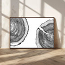 Abstract Large Tree Rings – Minimalist Black and White Wood