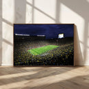 Michigan Wolverines Football Canvas Wall Decor, Football