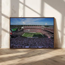 South Carolina Gamecocks Football Team Print - Columbia