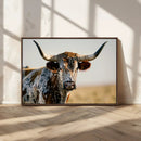 Texas Bull Longhorn Wall Art Canvas Print for Farm House