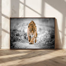 Jaguar Wall Art Canvas Print - Majestic Big Cat in Focused by MyGreatCanvas | Canvas Wall Art Prints | Photo Prints & Wall Decor