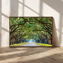 Wormsloe State Plantation Driveway Wall Art Canvas Print by MyGreatCanvas | Canvas Wall Art Prints | Photo Prints & Wall Decor