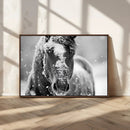 Black and White Horse Winter Wall Art | Ready to Hang and