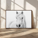 Majestic White Horse Wall Art | Ready to Hang and Framed |
