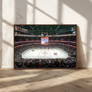 Honda Center California Anaheim Ducks Ice Hockey Stadium