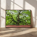 Framed Angel Oak Tree Wall Art - 3-Panel Canvas Prints,
