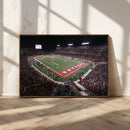 Houston Cougars Football Team Print - Houston TDECU Stadium