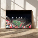 Houston Cougars Football Team Print - Houston TDECU Stadium