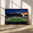 Michigan State Spartans Football Team Print - East Lansing