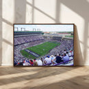 The Texas Christian University TCU Horned Frogs Football