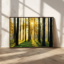 Sunlit Forest Wall Art Canvas Print – Large Framed Woodland
