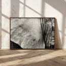 Elephant Wall Art Canvas Print