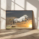 Large Wall Art Canvas Print – White Jumping Horse Sunset
