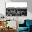 Black and White Highland Cow Canvas Wall Art, Longhorn by MyGreatCanvas | Canvas Wall Art Prints | Photo Prints & Wall Decor