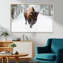 Bison Wall Art Canvas Print For Farmhouse, Animal Canvas